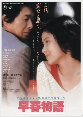 雾港谜案 海报